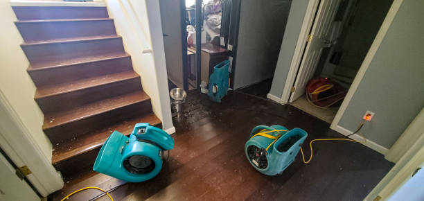 Best Basement water damage restoration  in Elizabeth City, NC